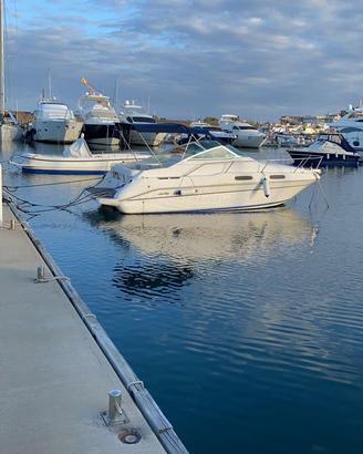 Sea ray 230 sundancer 5.0 mpi