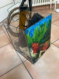 Piccolo acquario