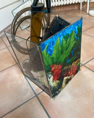 Piccolo acquario