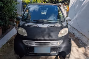 smart solo a ischia