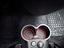 Immagine 16