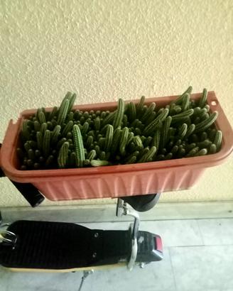 arredamento casa