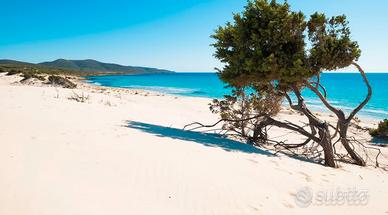 Villetta con terreno di 12000 mq