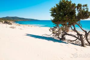 Villetta con terreno di 12000 mq