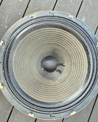 Cono 12" 8 Ohm per chitarra  