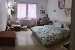 Stanza singola bologna