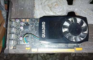 scheda video quadro P1000  4 giga di RAM ddr5