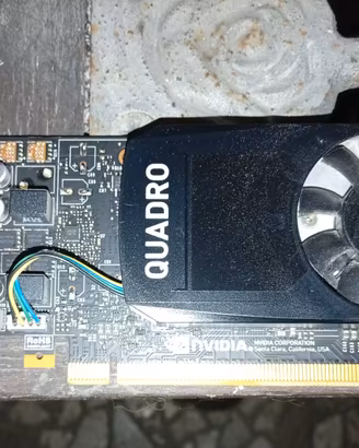 scheda video quadro P1000  4 giga di RAM ddr5