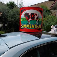 Espositore pubblicitario Simmenthal 