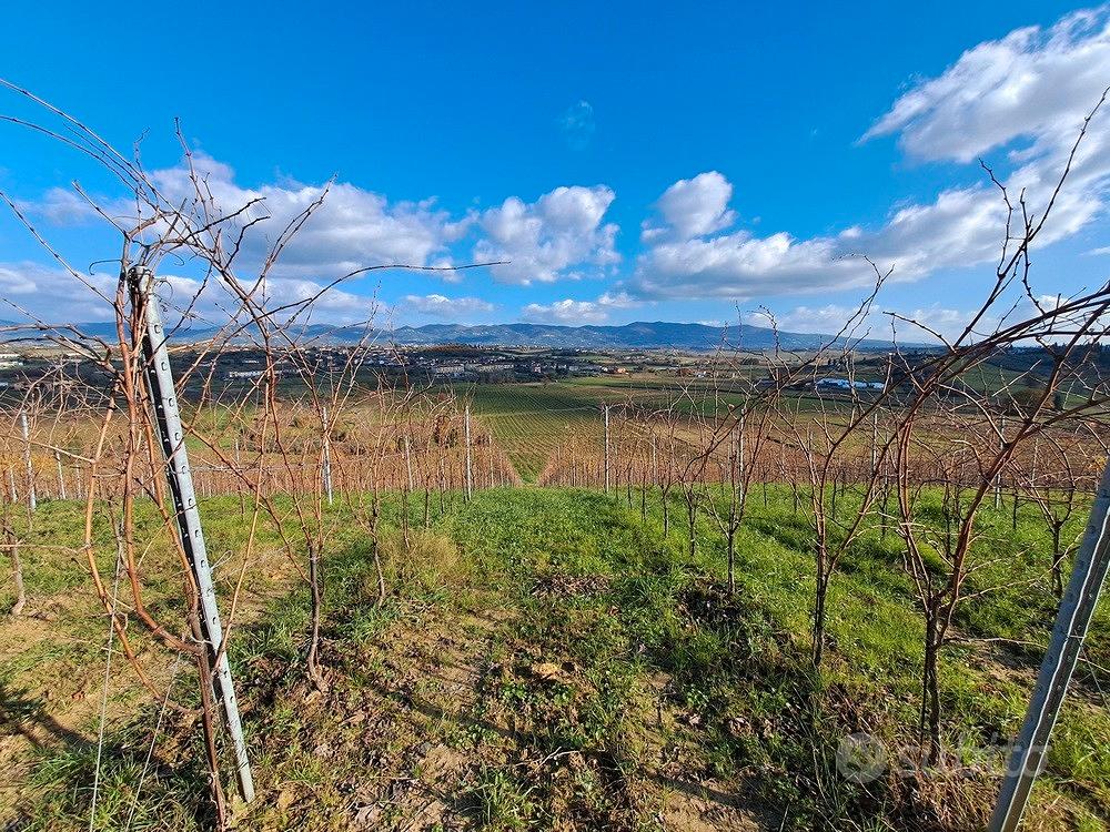 Azienda con vigneto Casale e Cantina Vinci - Vista 3