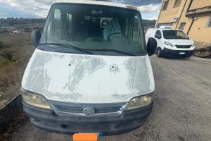 Fiat ducato aperto 6 posti