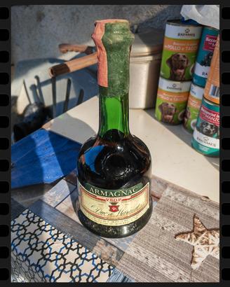 liquori