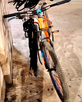 bici kayman 29