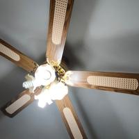 Il ventilatore da soffitto 