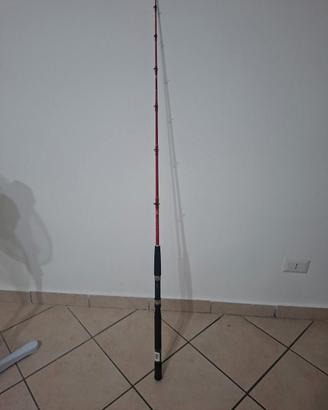 canna da pesca 