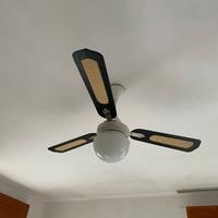 Ventilatore da soffitto