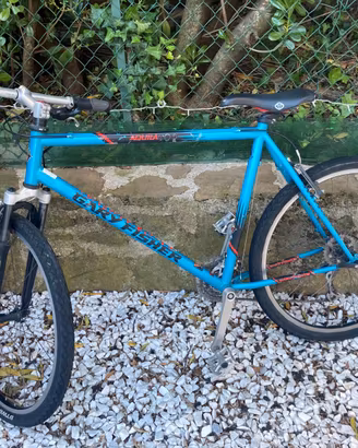 Bicicletta Gary Fischer