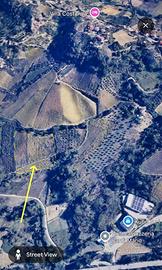 Terreno agricolo