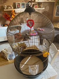 Gabbia ottone Ferplast pappagallini,canarini