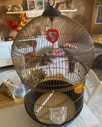 Gabbia ottone Ferplast pappagallini,canarini