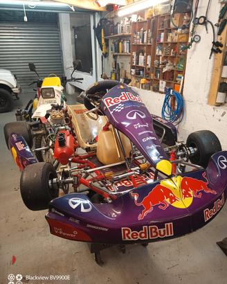 go kart Tony kart  super rock vortex GP 125 mono m