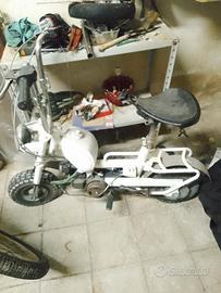 Benelli city bike