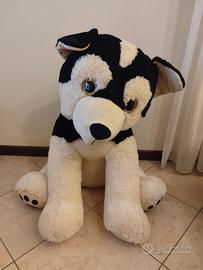 Peluche Husky gigante