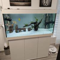 Acquario Juwel Rio 350 completo di accessori/pesci