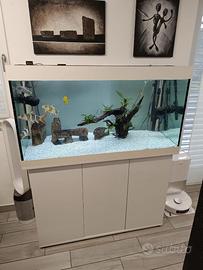 Acquario Juwel Rio 350 completo di accessori/pesci