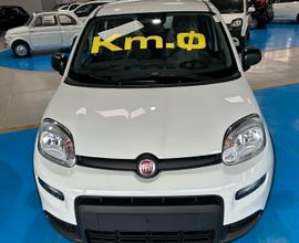 Fiat Panda 1.0 70cv Hybrid PANDINA KM 0 2024
