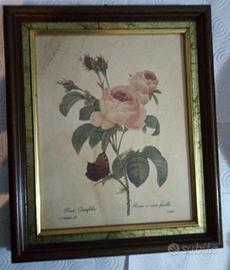 Quadro cornice in legno stampa botanica 