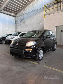 FIAT Panda New Panda 1.0 FireFly S&S Hybrid