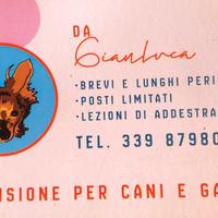 PENSIONE/ASILO per cani e gatti in Casa