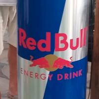 frigorifero Red bull