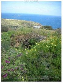 Terreno Agricolo Pantelleria [A4354250]
