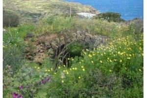 Terreno Agricolo Pantelleria [A4354250]