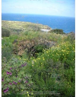 Terreno Agricolo Pantelleria [A4354250]