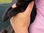 Immagine 5