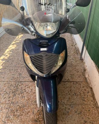 Sh 125 Honda