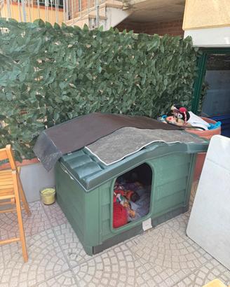 Cuccia Bama Pet Verde Scuro casa casetta cane