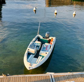 Barca Bayliner Capri con Yamaha 40 CV