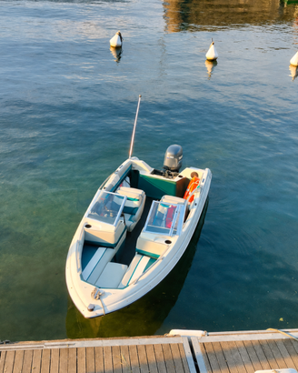 Barca Bayliner Capri con Yamaha 40 CV