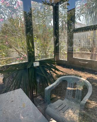 Cabina per ingresso giardino o parcheggio