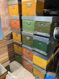 Arnie cubo 10 telaini + altro materiale api