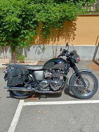 Bonneville T100 - 2013