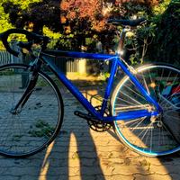 bici da corsa Fausto Coppi