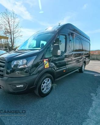 Ford Transit 350 2.0TDCiEcoBlue170CV PL-SL-TA...