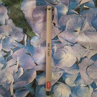 Penna Legami n.43 koala 🐨 australiano