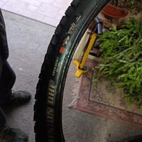 Gomme Maxxis 29 27.5 buone condizioni Dh Enduro