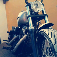 Harley Davidson street bob